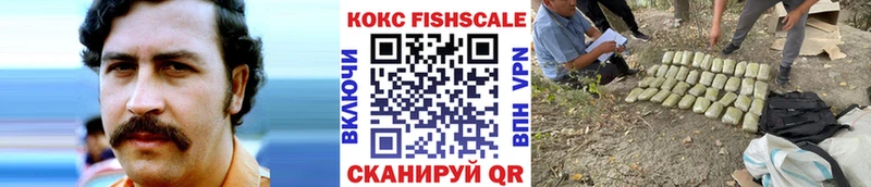 мега как зайти  Ачхой-Мартан  Кокаин Fish Scale 