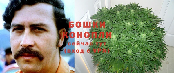 бутират Богданович