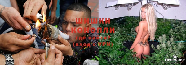 бутират Богданович