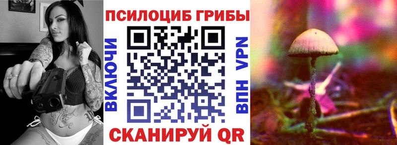 магазин продажи наркотиков  Ачхой-Мартан  Галлюциногенные грибы Cubensis 