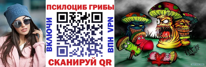 Псилоцибиновые грибы Cubensis Ачхой-Мартан